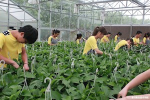 园林技术专业实习实训