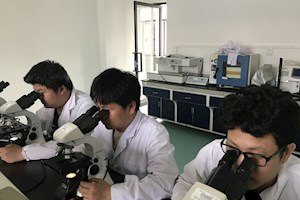 动物医学专业实习实训