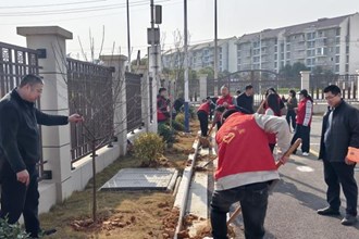 青春聚力 共树未来